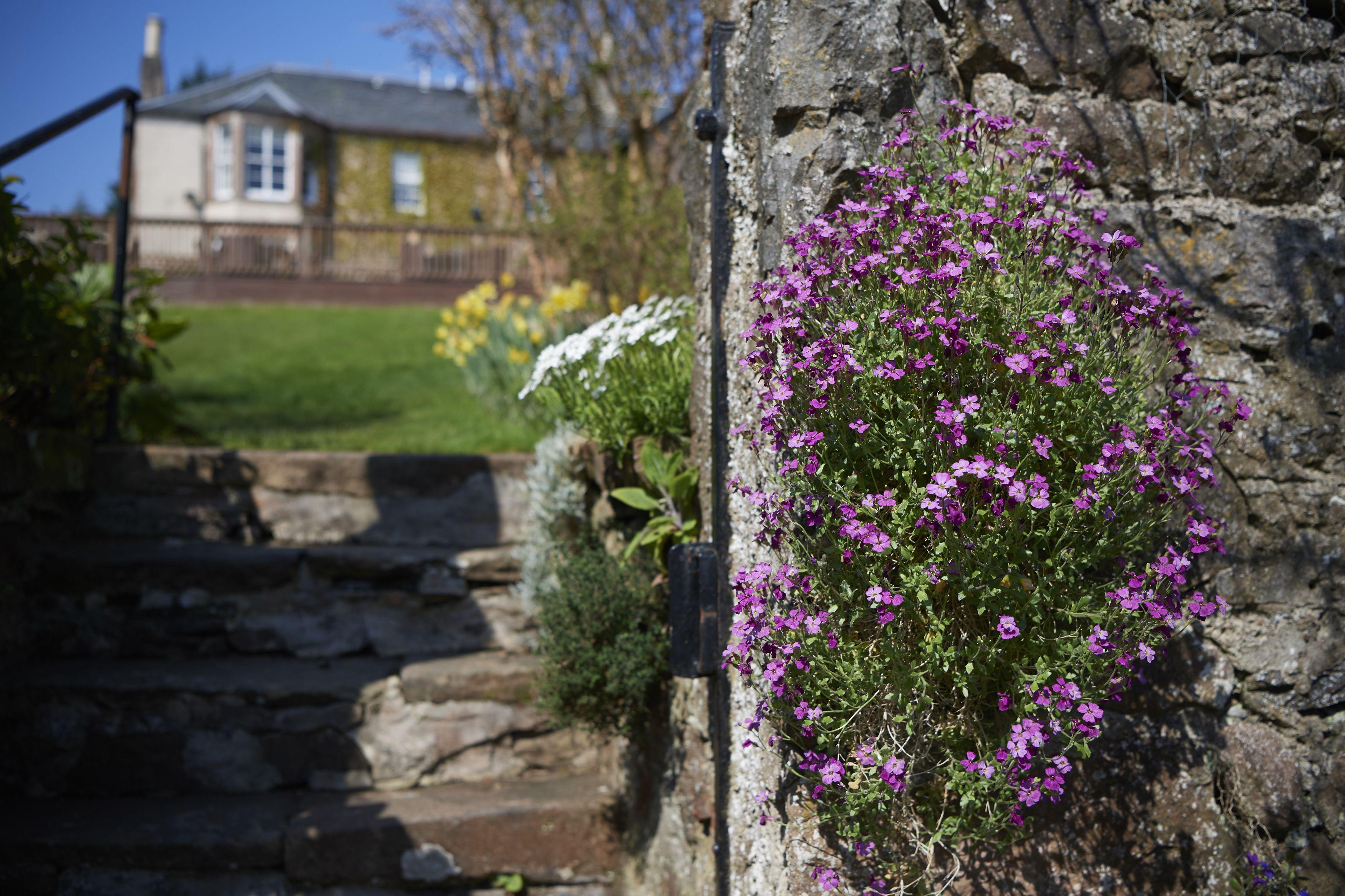 Loch Ness Country House Hotel — Photos 2